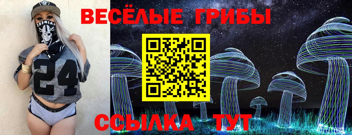 Чебоксары  Псилоцибиновые грибы Psilocybe  Вход с VPN 